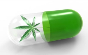 cannabis en pilule
