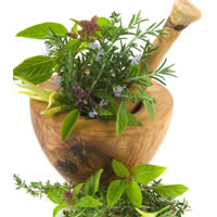 plantes et fleurs medicinales
